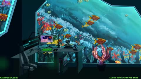 Asiri   pronounced Ah-siri Please no nicknames   3 online show from 18, 3, 2026