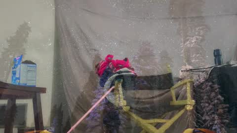 Snapshot of aspiringturtlegirl chatting on 4, 3, 2026 aspiringturtlegirl online show from 4, 3, 2026