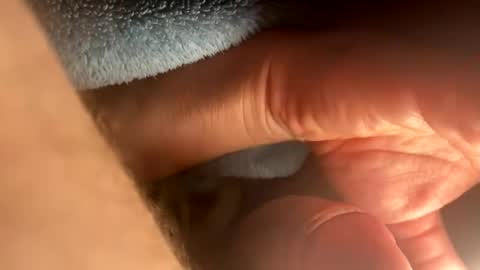 Snapshot of asterwix chatting on 21, 9, 2025 asterwix online show from 21, 9, 2025