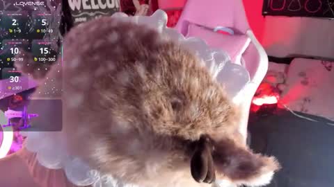 Snapshot of aurorachannn chatting on 27, 11, 2025 Aurora Channn online show from 27, 11, 2025