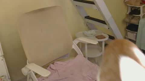 Rhian online show from 16, 2, 2026