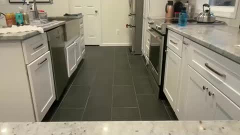 avgdiver online show from 23, 3, 2026