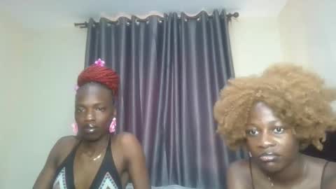 Avian online show from 5, 3, 2026