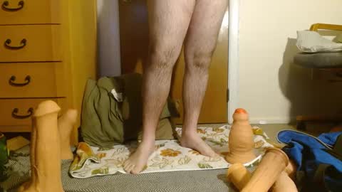 awizr online show from 23, 12, 2024