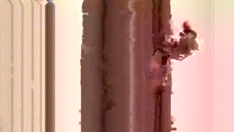 ayquericoseve online show from 28, 11, 2025