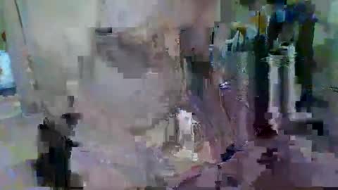 BERT online show from 28, 5, 2026
