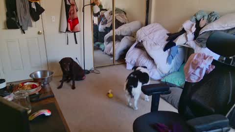 b1gbanana online show from 13, 3, 2026