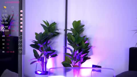 Inna online show from 16, 12, 2025