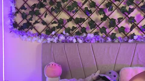  Dani  online show from 15, 12, 2024