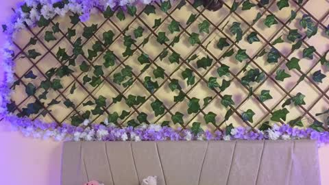  Dani  online show from 19, 12, 2024