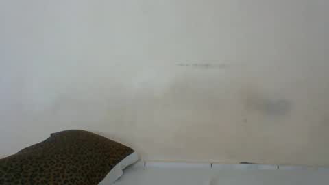 Snapshot of babymolly2 chatting on 17, 2, 2026 Rossy Kwekwe online show from 17, 2, 2026