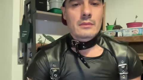 bach online show from 16, 12, 2024