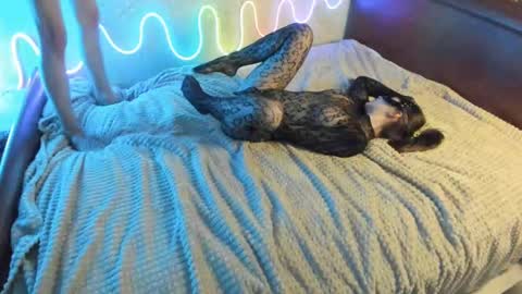 bada_b1ng online show from 7, 12, 2024