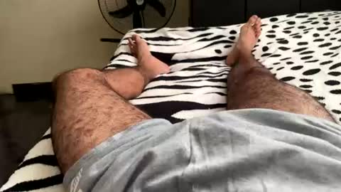 alejo 18cm online show from 14, 6, 2026
