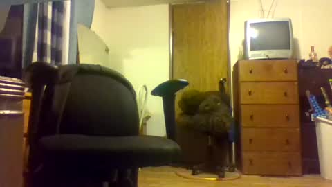 baddaddy419 online show from 29, 10, 2025