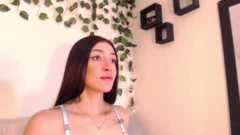 bahianawood online show from 12, 12, 2024