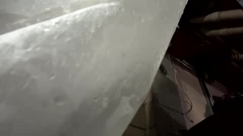 balddickstroking online show from 8, 3, 2025