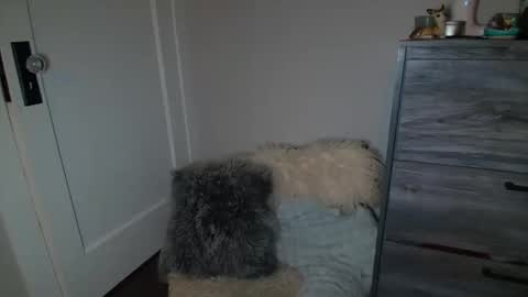 Bambi online show from 2, 3, 2025