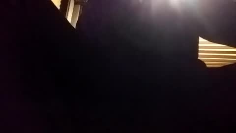 baobabtree8 online show from 24, 12, 2024