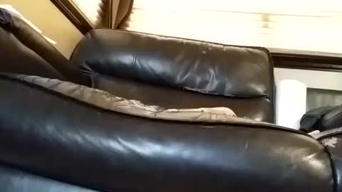 baobabtree8 online show from 6, 3, 2025