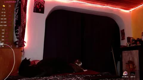 lilithgreen7 online show from 20, 12, 2025