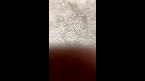 Snapshot of barbara_mur chatting on 10, 3, 2026 BarbaraDavid online show from 10, 3, 2026