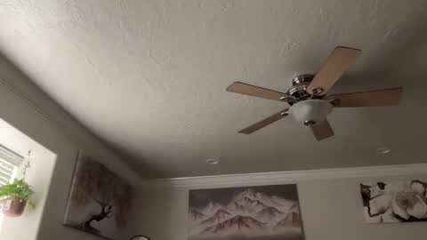 chicka online show from 10, 3, 2026