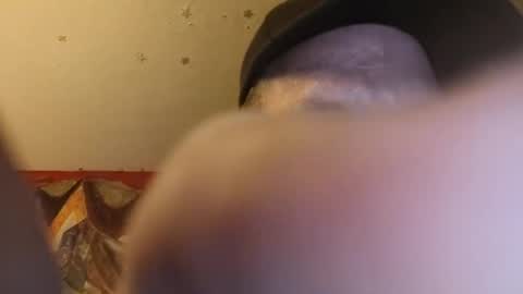 barniemay1 online show from 28, 6, 2026