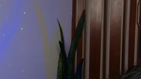 Snapshot of bastiel_ chatting on 27, 5, 2026 Bastiel online show from 27, 5, 2026