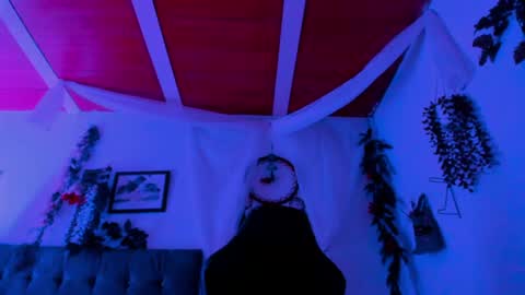    online show from 8, 7, 2026