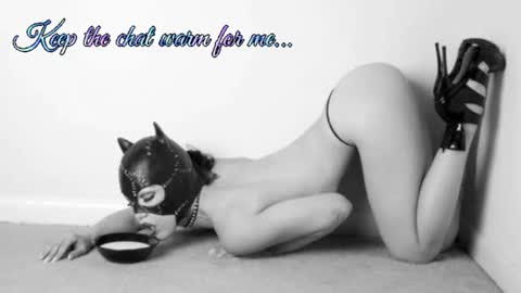 Your always sexy Harley online show from 8, 7, 2026