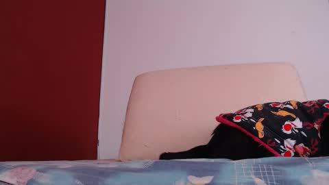 bayonette_black online show from 26, 9, 2025