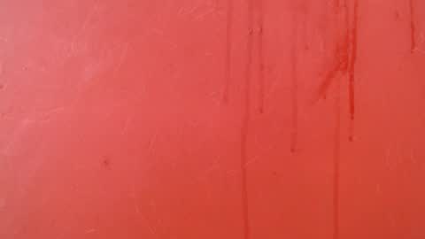 bayonette_black online show from 24, 11, 2025