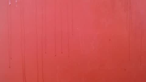 bayonette_black online show from 26, 11, 2025