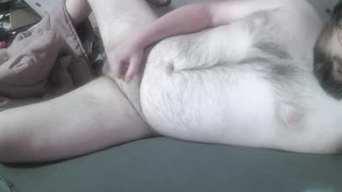 bear282667 online show from 17, 4, 2026