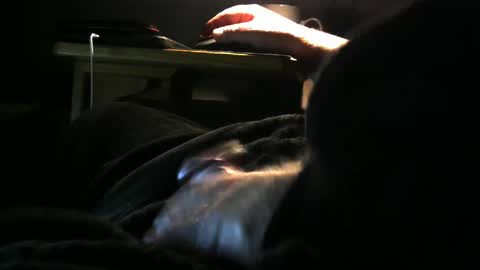 bear4146 online show from 8, 3, 2025