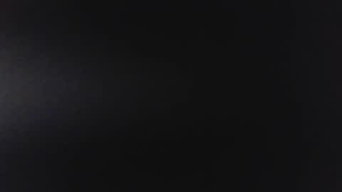 bear444535379 online show from 13, 4, 2026