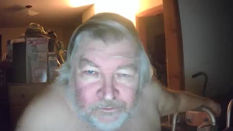 bear online show from 31, 1, 2026