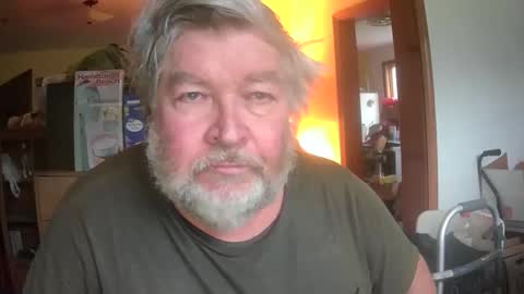 bear online show from 14, 5, 2026