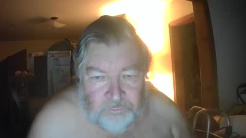 bear online show from 17, 5, 2026