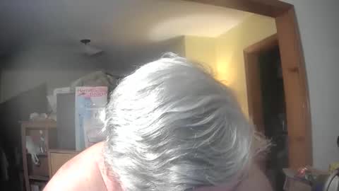 bear online show from 19, 5, 2026