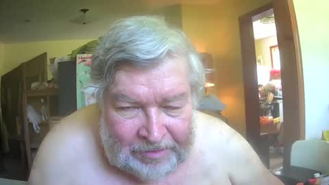 bear online show from 19, 5, 2026