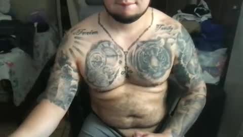 Bearcito online show from 5, 3, 2025