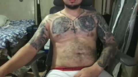 Bearcito online show from 26, 4, 2026