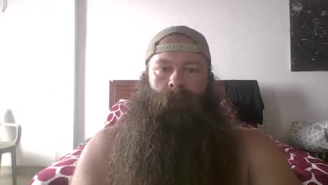 Snapshot of beardeddonkey88 chatting on 19, 11, 2025 beardeddonkey88 online show from 19, 11, 2025