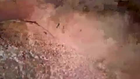 beautifulpeople23 online show from 29, 3, 2026