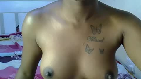 bedmaster_d online show from 5, 3, 2026