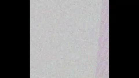 hungnheavy online show from 1, 11, 2025