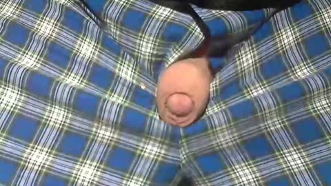  Reservoir Dogs online show from 19, 2, 2026