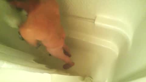 begme88 online show from 7, 4, 2026